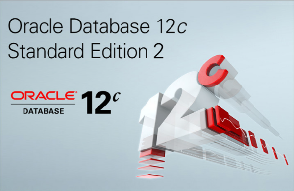 CUBRID | 블로그 - Oracle Database SE2 살펴보기